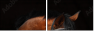 46187059