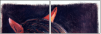 46243808