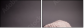 46421983