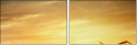 46459823