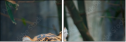 46669646