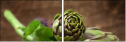 47068124