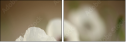 47729615