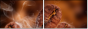 47749181