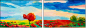 48240226