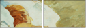 48308195