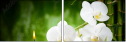 48780391