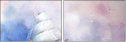 48848531
