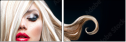 48880493