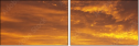 48905885