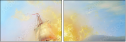 49140904