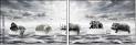 49167138