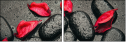 49357610