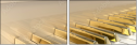 49452516