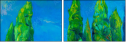 49522829