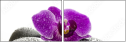 49566180