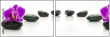 49566256