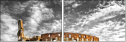 50130515