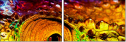 50502121