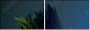 50564432