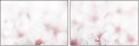 50709111