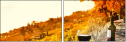 50713543