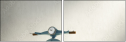 50981081