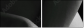51083503
