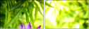 51188195