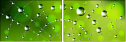 51217403