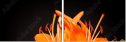 51668124