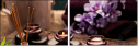 51904440