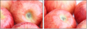 51930059