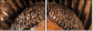 52004103