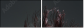 52116617