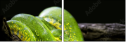 52158652