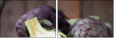 52349842