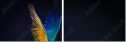 52669940