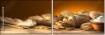 52670728