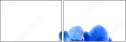 52702119