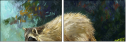 52717561