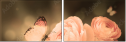 52744741