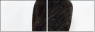 52924822