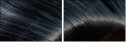 52931906