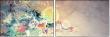 54496045