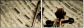 54506799