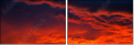 54554863