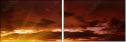 54860114