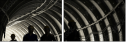 54870569