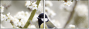 54886078